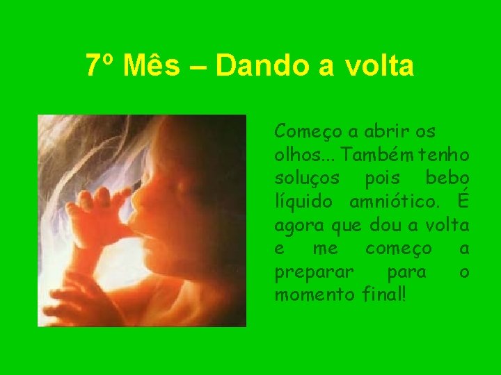 7º Mês – Dando a volta Começo a abrir os olhos. . . Também