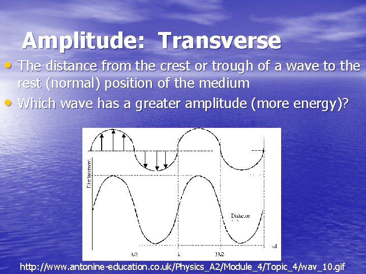Amplitude: Transverse • The distance from the crest or trough of a wave to