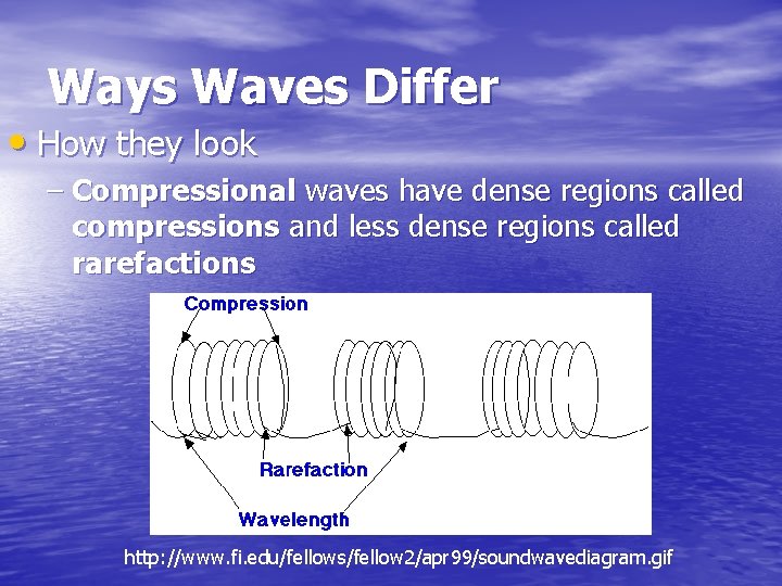 Ways Waves Differ • How they look – Compressional waves have dense regions called