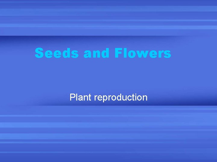 Seeds and Flowers Plant reproduction 