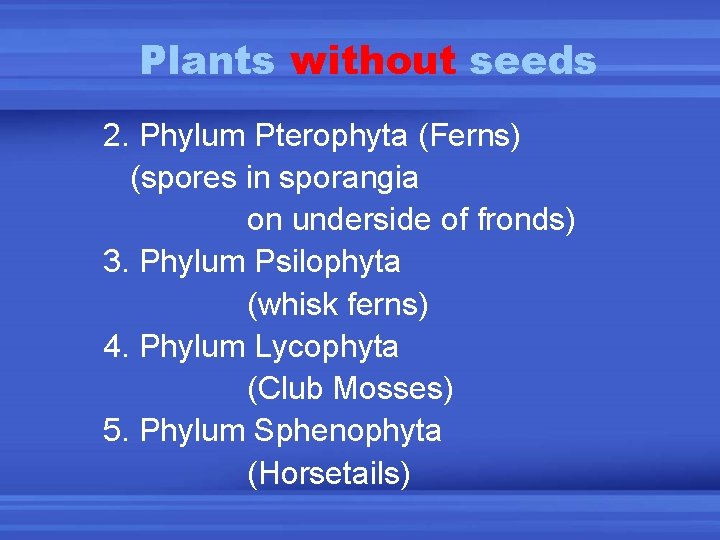 Plants without seeds 2. Phylum Pterophyta (Ferns) (spores in sporangia on underside of fronds)