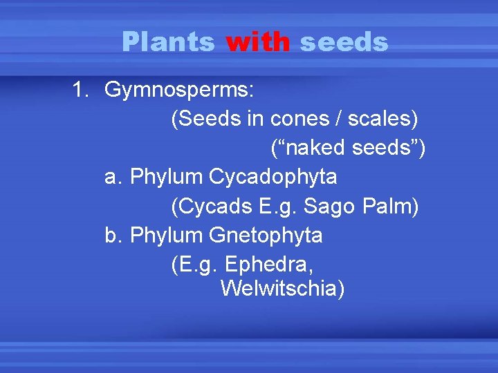 Plants with seeds 1. Gymnosperms: (Seeds in cones / scales) (“naked seeds”) a. Phylum