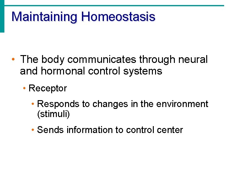 Maintaining Homeostasis • The body communicates through neural and hormonal control systems • Receptor