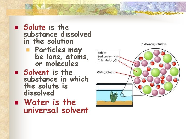 n n n Solute is the substance dissolved in the solution n Particles may