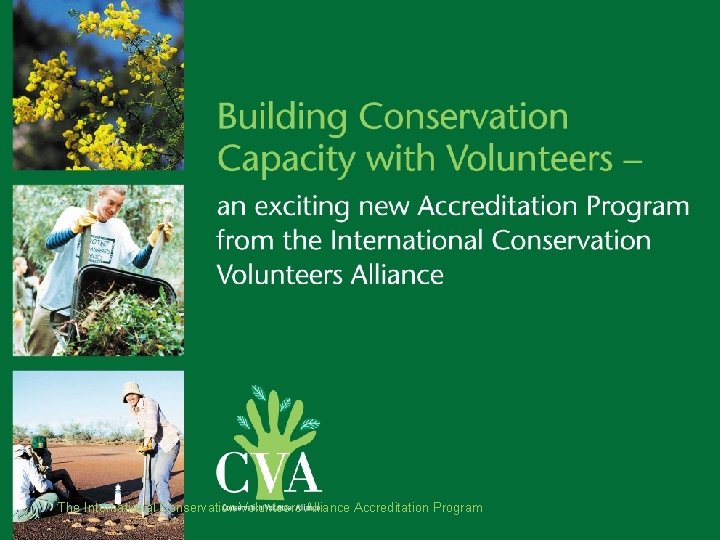 The International Conservation Volunteers Alliance Accreditation Program 