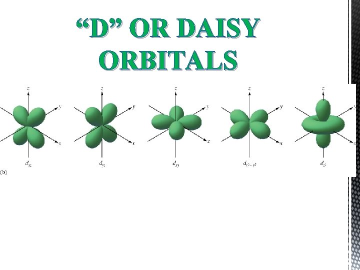 “D” OR DAISY ORBITALS 