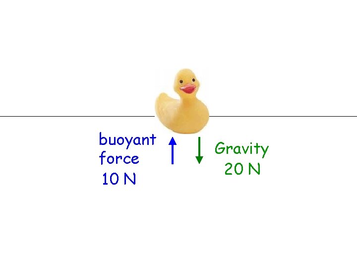 buoyant force 10 N Gravity 20 N 