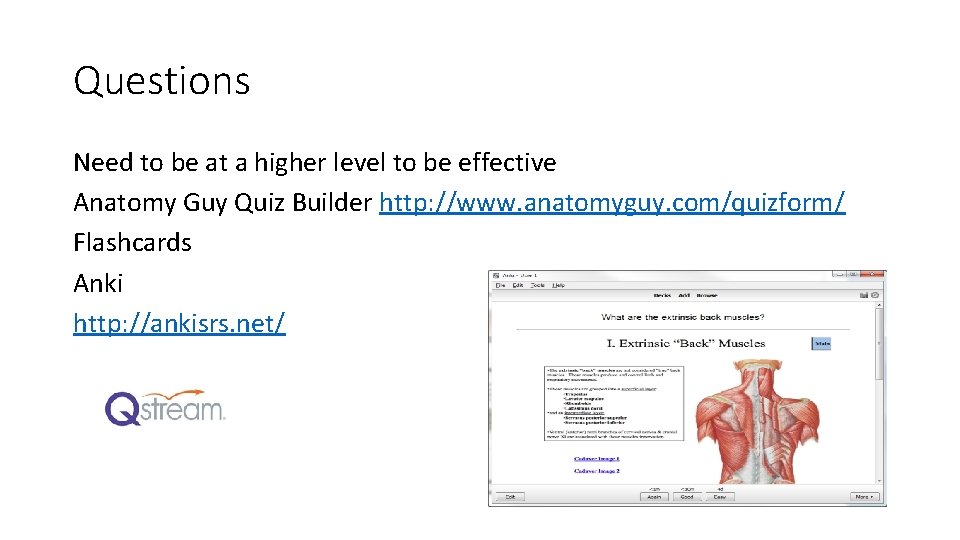 Questions Need to be at a higher level to be effective Anatomy Guy Quiz