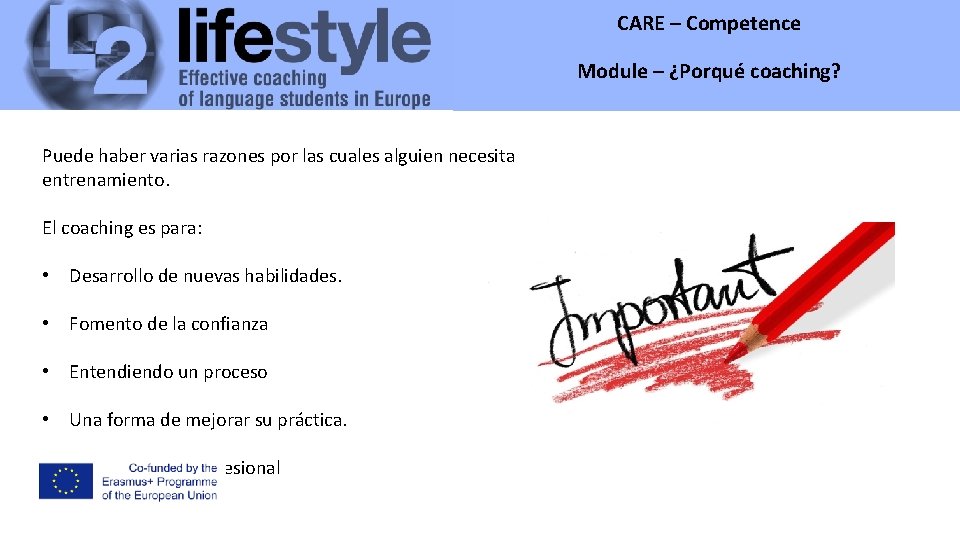 CARE – Competence Module – ¿Porqué coaching? Puede haber varias razones por las cuales