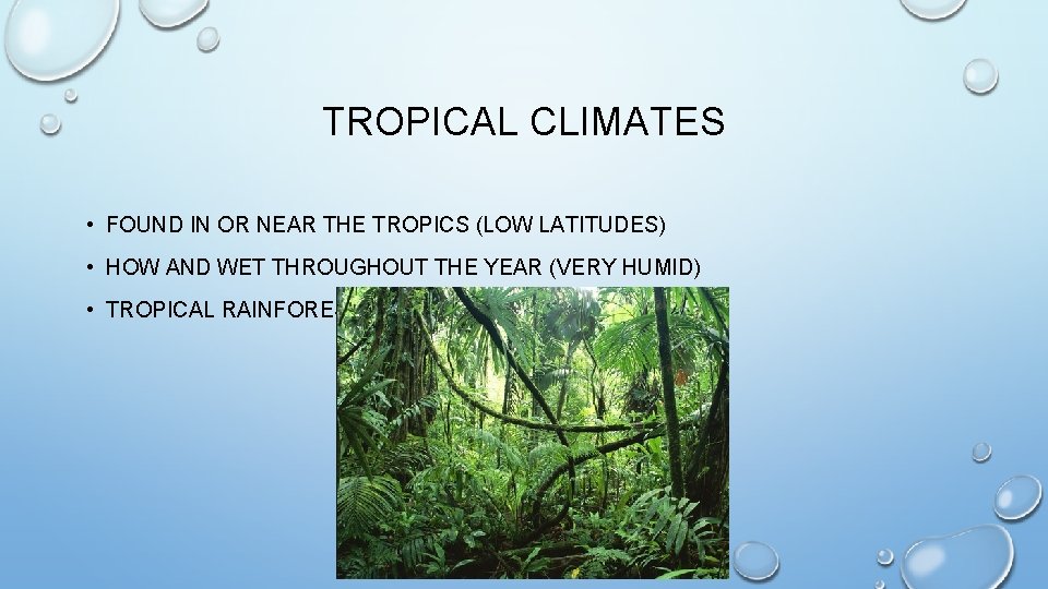 TROPICAL CLIMATES • FOUND IN OR NEAR THE TROPICS (LOW LATITUDES) • HOW AND
