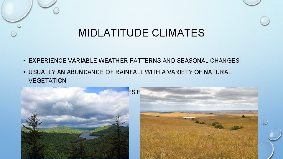 MIDLATITUDE CLIMATES • EXPERIENCE VARIABLE WEATHER PATTERNS AND SEASONAL CHANGES • USUALLY AN ABUNDANCE