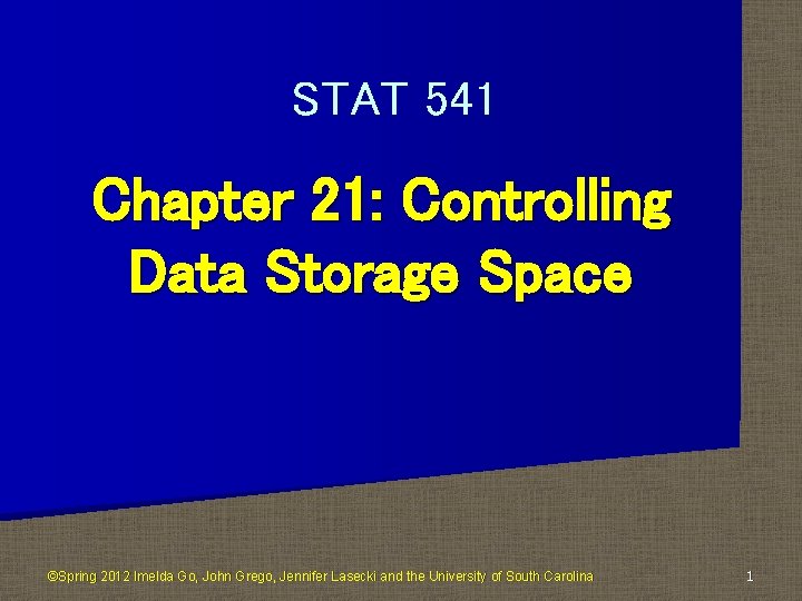 STAT 541 Chapter 21: Controlling Data Storage Space ©Spring 2012 Imelda Go, John Grego,