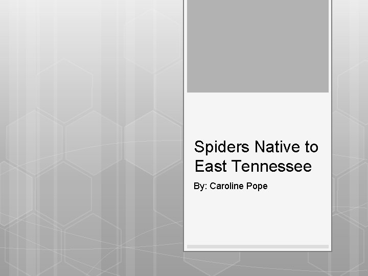 Spiders Native to East Tennessee By: Caroline Pope 