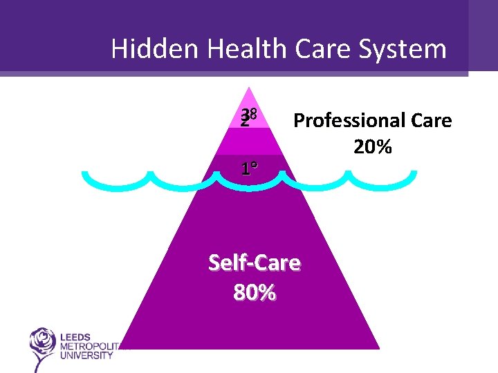 Hidden Health Care System 3 2 1 Professional Care 20% Self-Care 80% 