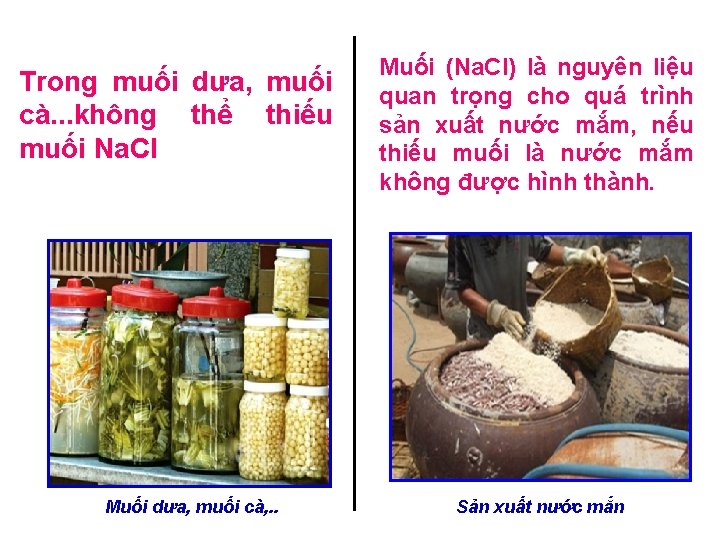 Trong muối dưa, muối cà. . . không thể thiếu muối Na. Cl Muối