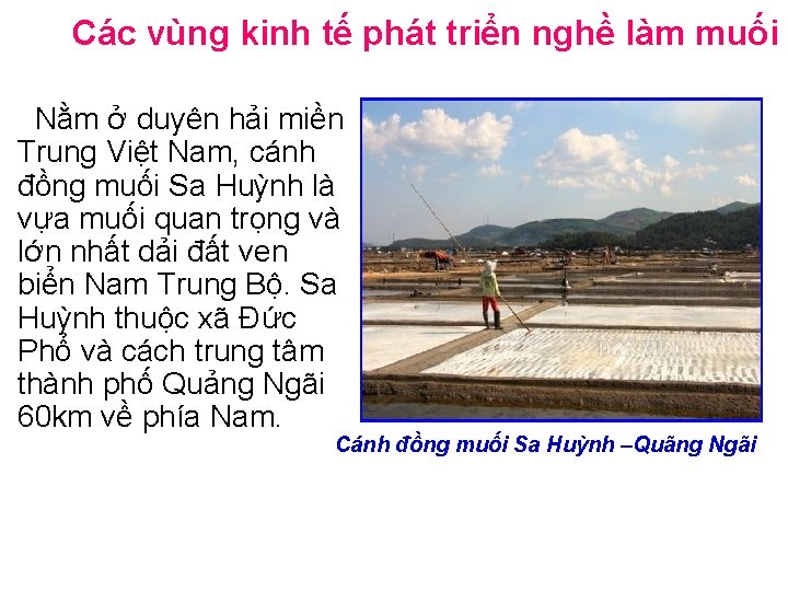 Các vùng kinh tế phát triển nghề làm muối Nằm ở duyên hải miền