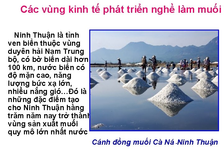 Các vùng kinh tế phát triển nghề làm muối Ninh Thuận là tỉnh ven