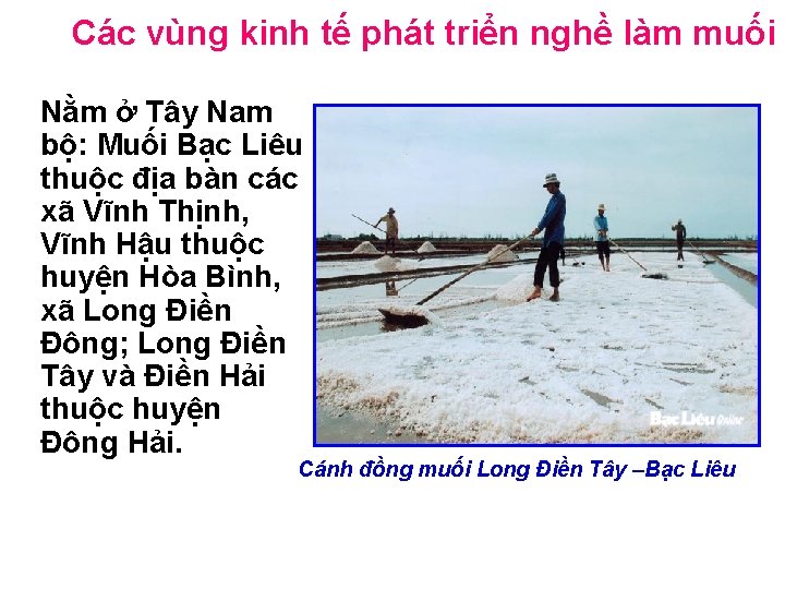 Các vùng kinh tế phát triển nghề làm muối Nằm ở Tây Nam bộ: