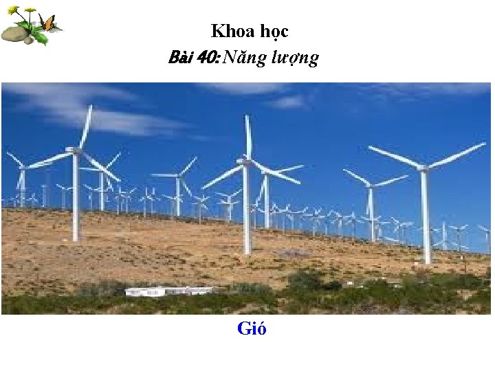 Khoa học Bài 40: Năng lượng Gió 