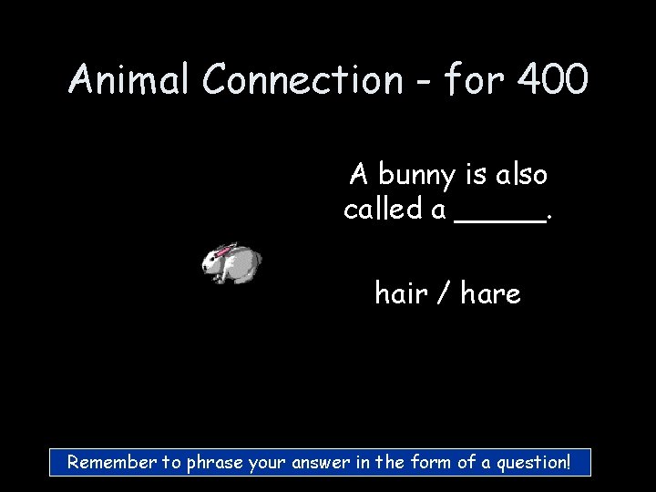Animal Connection - for 400 A bunny is also called a _____. hair / Animal Connection - for 400 A bunny is also called a _____. hair /