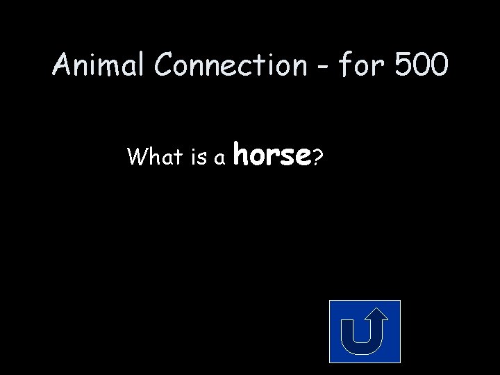 Animal Connection - for 500 What is a horse? Animal Connection - for 500 What is a horse?