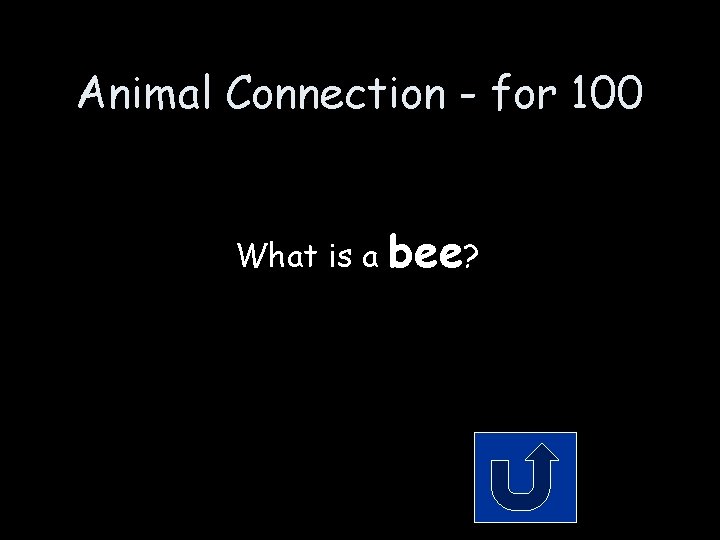 Animal Connection - for 100 What is a bee? Animal Connection - for 100 What is a bee?