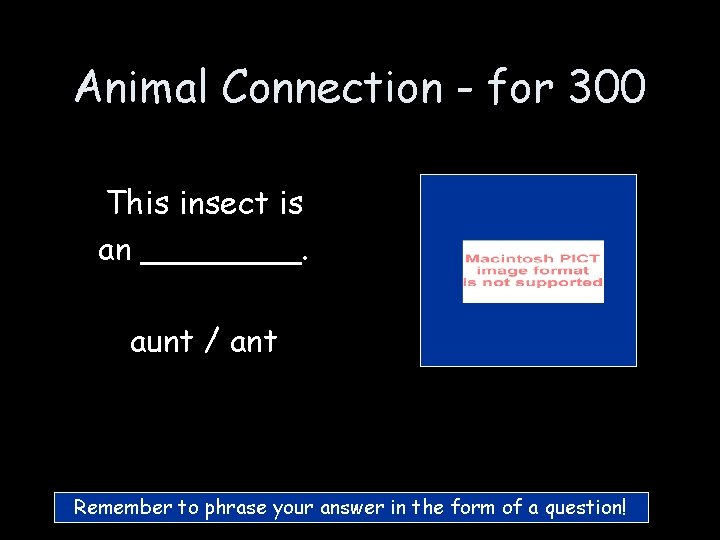 Animal Connection - for 300 This insect is an ____. aunt / ant Remember Animal Connection - for 300 This insect is an ____. aunt / ant Remember