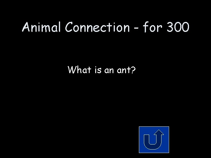 Animal Connection - for 300 What is an ant? Animal Connection - for 300 What is an ant?