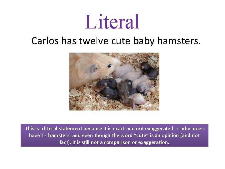 Literal Carlos has twelve cute baby hamsters. This is a literal statement because it