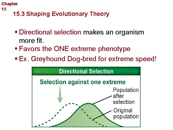 Chapter 15 Evolution 15. 3 Shaping Evolutionary Theory § Directional selection makes an organism