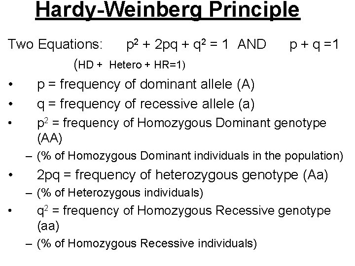 Hardy-Weinberg Principle Two Equations: p 2 + 2 pq + q 2 = 1