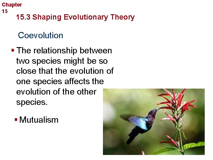 Chapter 15 Evolution 15. 3 Shaping Evolutionary Theory Coevolution § The relationship between two