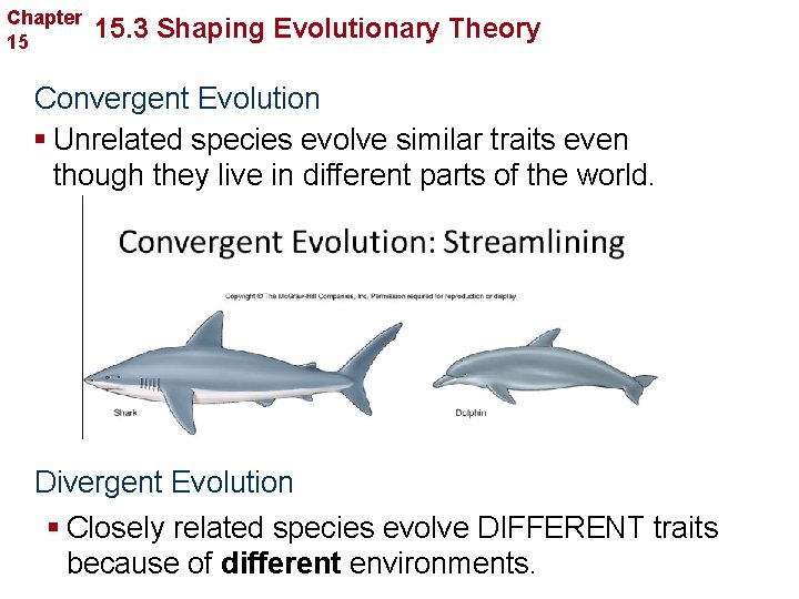 Chapter 15 Evolution 15. 3 Shaping Evolutionary Theory Convergent Evolution § Unrelated species evolve
