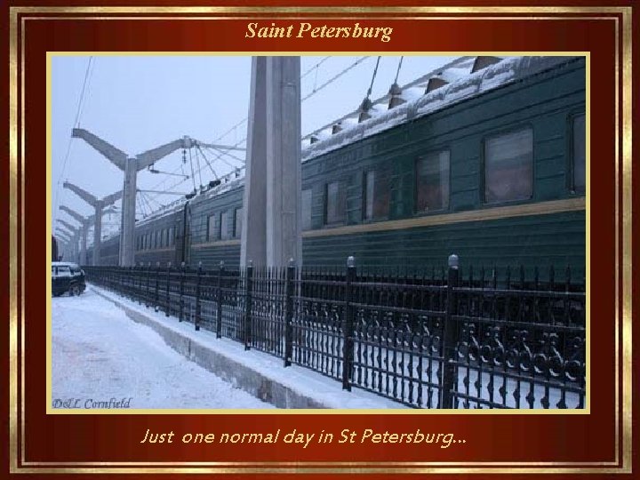 Saint Petersburg Just one normal day in St Petersburg… 