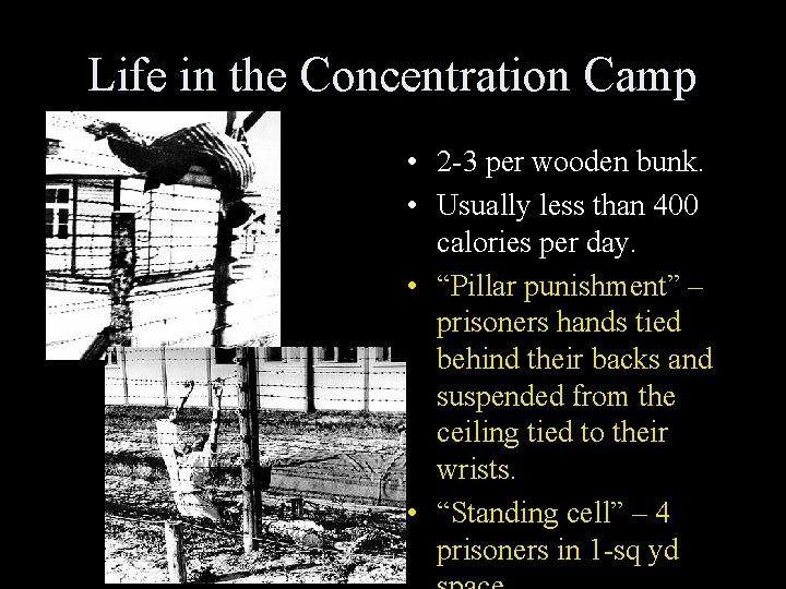 Life in the Concentration Camp • 2 -3 per wooden bunk. • Usually less