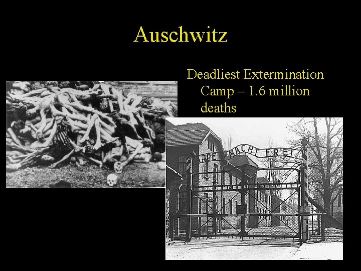 Auschwitz Deadliest Extermination Camp – 1. 6 million deaths 