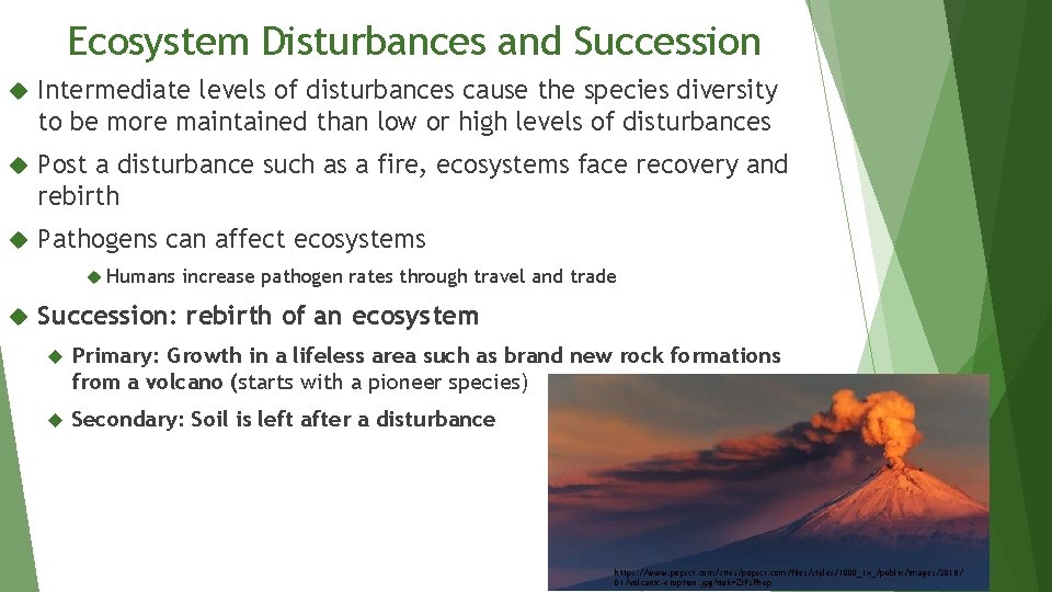 Ecosystem Disturbances and Succession Intermediate levels of disturbances cause the species diversity to be