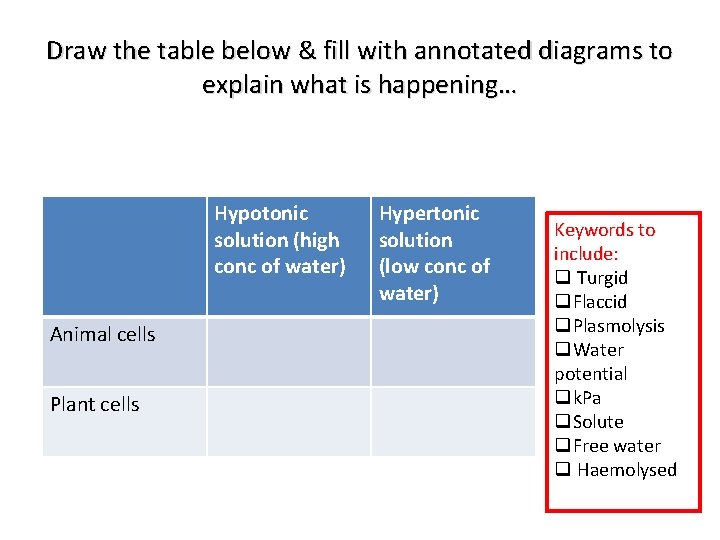 Draw the table below & fill with annotated diagrams to explain what is happening…