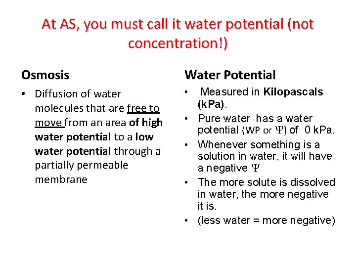 At AS, you must call it water potential (not concentration!) Osmosis Water Potential •