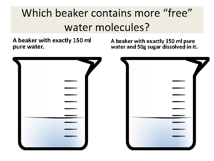 Which beaker contains more “free” water molecules? A beaker with exactly 150 ml pure