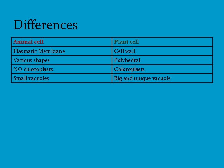 Differences Animal cell Plant cell Plasmatic Membrane Cell wall Various shapes Polyhedral NO chloroplasts