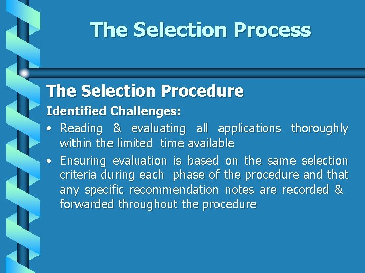 The Selection Process The Selection Procedure Identified Challenges: • Reading & evaluating all applications