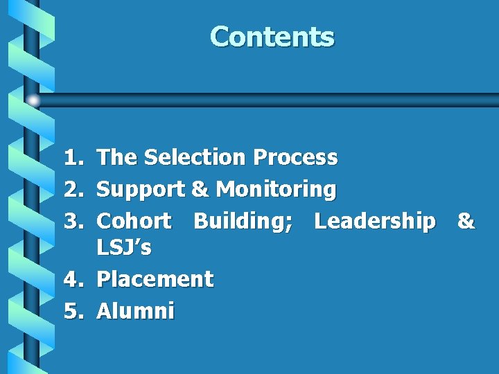 Contents 1. 2. 3. The Selection Process Support & Monitoring Cohort Building; Leadership &