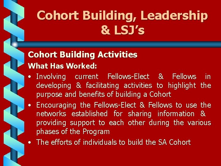 Cohort Building, Leadership & LSJ’s Cohort Building Activities What Has Worked: • Involving current