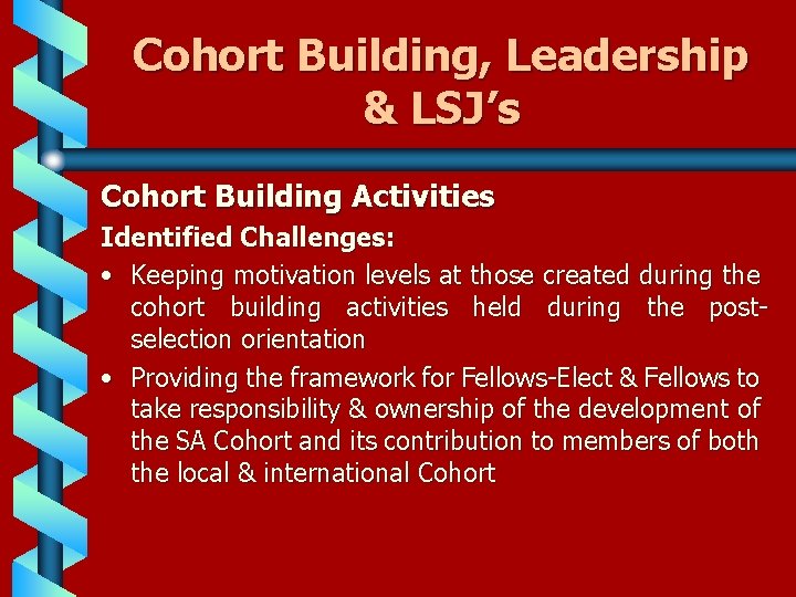 Cohort Building, Leadership & LSJ’s Cohort Building Activities Identified Challenges: • Keeping motivation levels