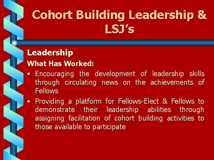 Cohort Building Leadership & LSJ’s Leadership What Has Worked: • Encouraging the development of