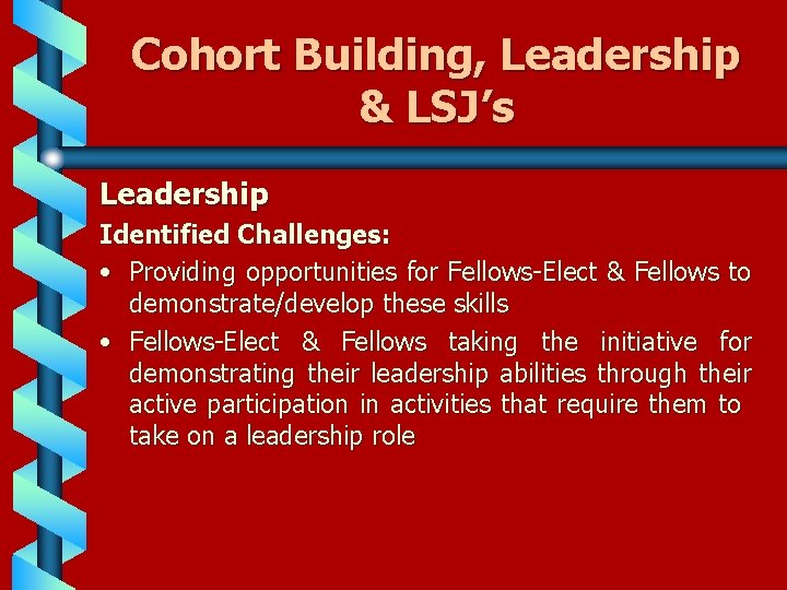 Cohort Building, Leadership & LSJ’s Leadership Identified Challenges: • Providing opportunities for Fellows-Elect &