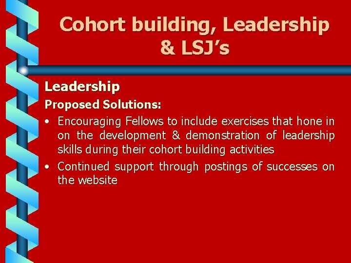 Cohort building, Leadership & LSJ’s Leadership Proposed Solutions: • Encouraging Fellows to include exercises