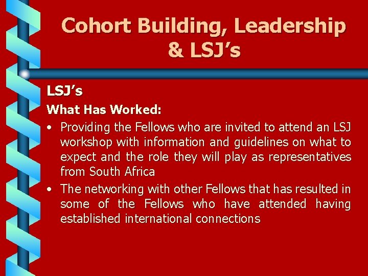 Cohort Building, Leadership & LSJ’s What Has Worked: • Providing the Fellows who are