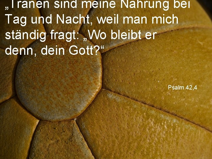 „Tränen sind meine Nahrung bei Tag und Nacht, weil man mich ständig fragt: „Wo